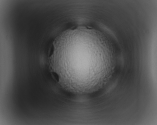X0000101420272200807071322