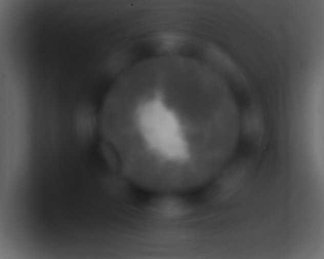 X0000101420276200807071322