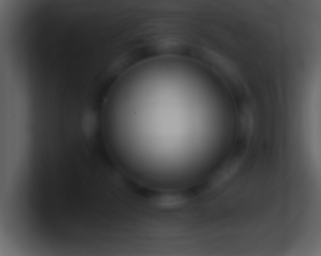 X0000101420278200807071322