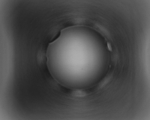 X0000101420281200807071322