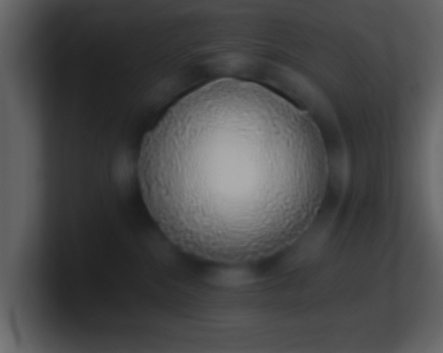 X0000101420284200807071322