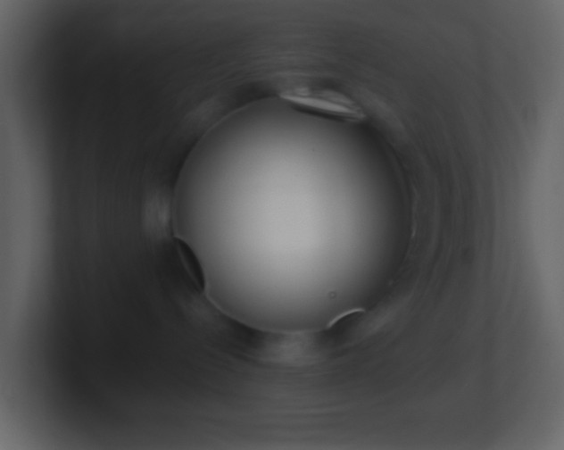 X0000101420288200807071322