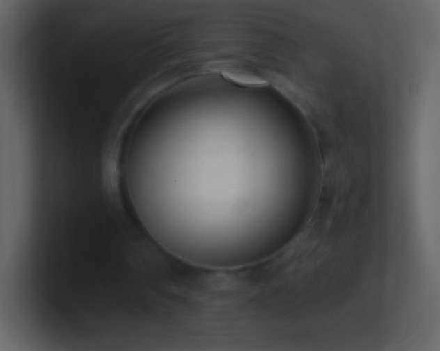 X0000101420290200807071322