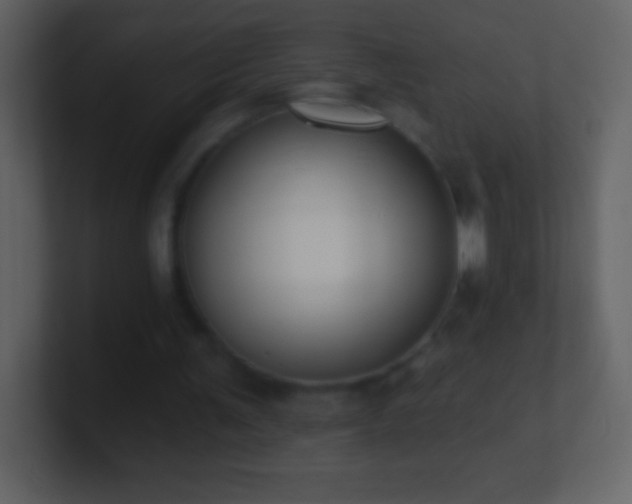 X0000101420291200807071322