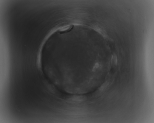 X0000101420292200807071322