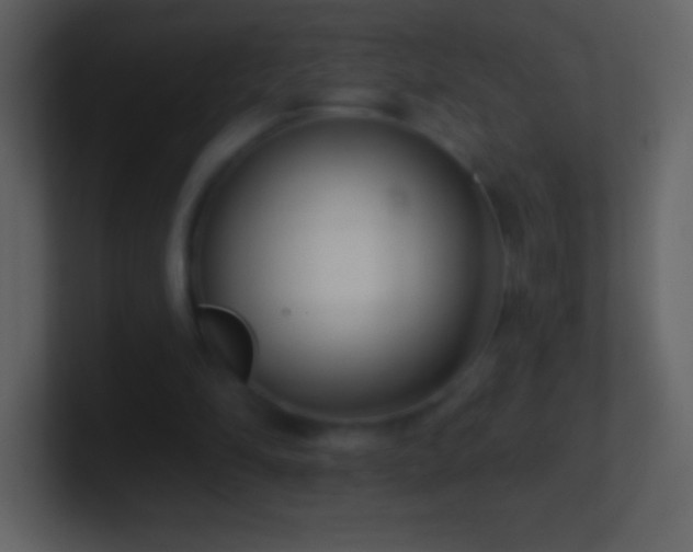 X0000101420294200807071322
