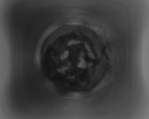 X0000101420295200807071322