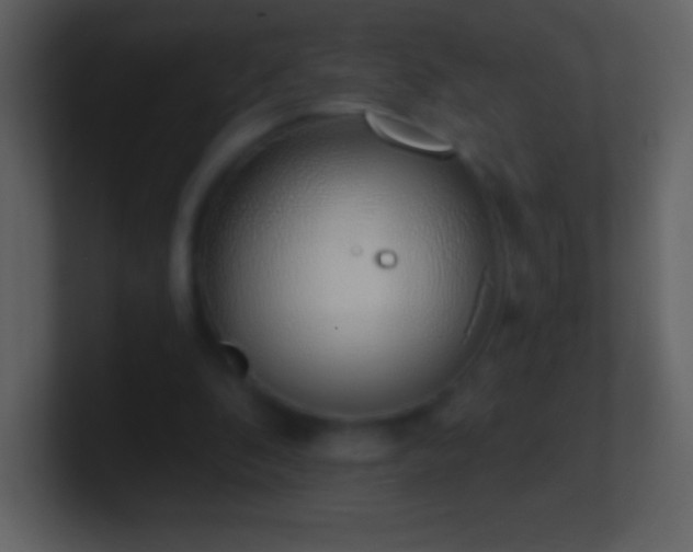 X0000101420296200807071322