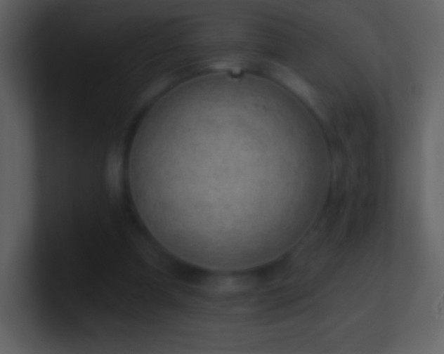 X0000101420297200807071321