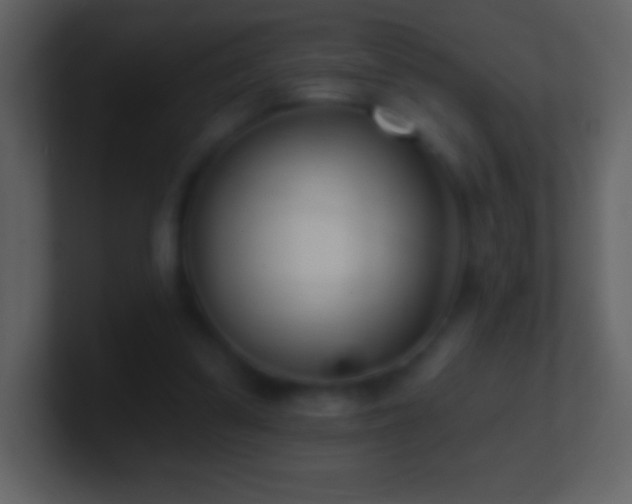 X0000101420299200807071321