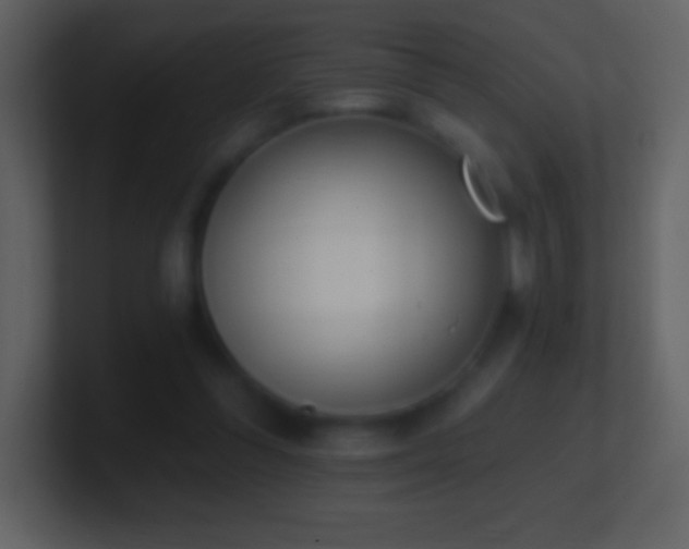 X0000101420300200807071321