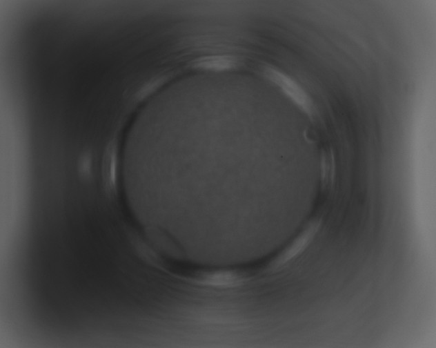 X0000101420301200807071321