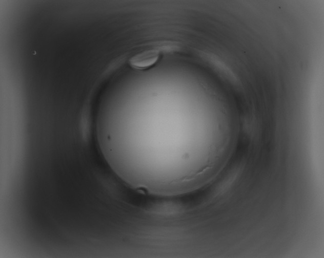 X0000101420304200807071321