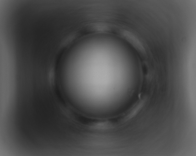 X0000101420306200807071321
