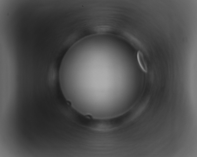 X0000101420308200807071321
