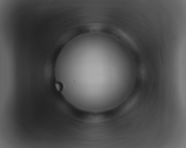 X0000101420311200807071321