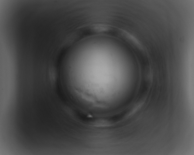 X0000101420315200807071321