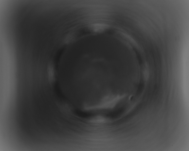 X0000101420316200807071321