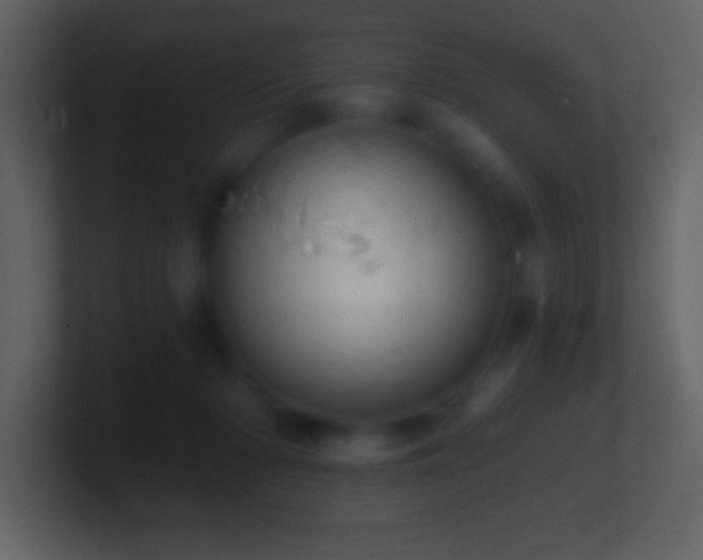 X0000101420318200807071321
