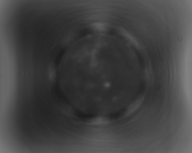 X0000101420320200807071321