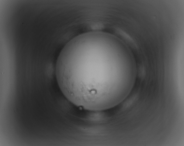 X0000101420321200807071321