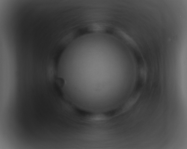 X0000101420322200807071321