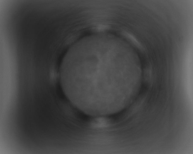 X0000101420324200807071321