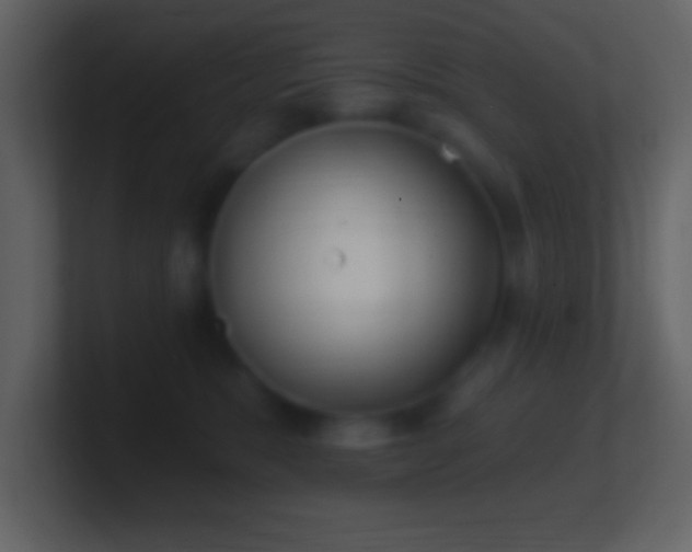 X0000101420327200807071321