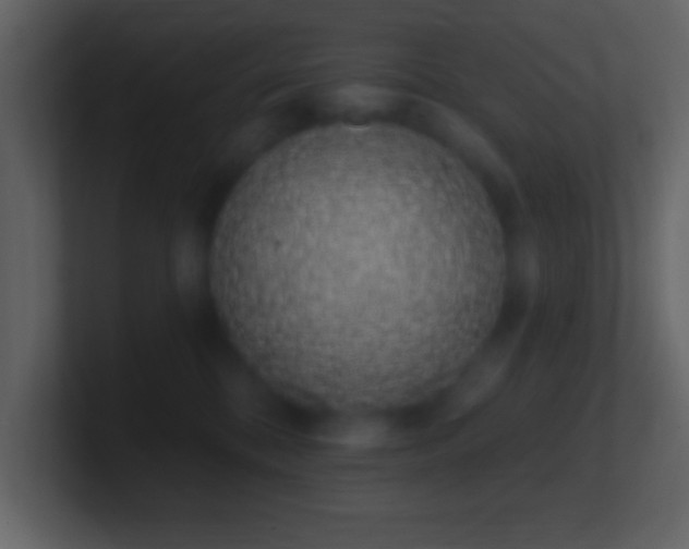 X0000101420328200807071321