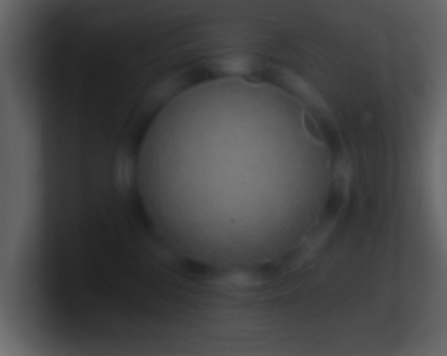 X0000101420330200807071321
