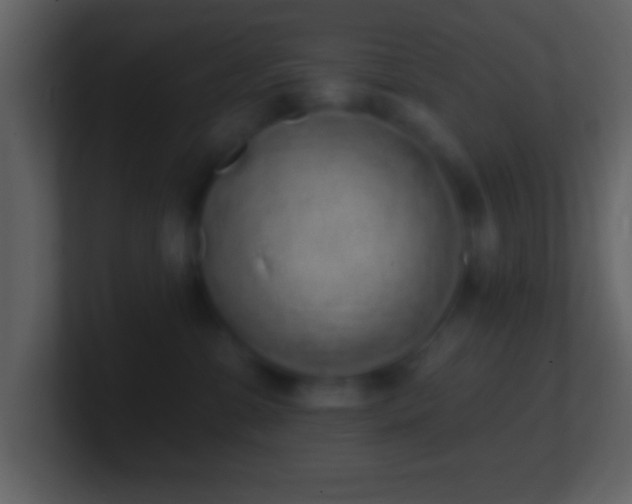 X0000101420331200807071321
