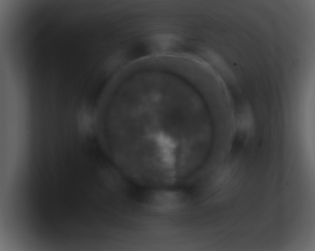 X0000101420332200807071321