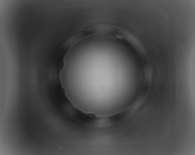 X0000101420333200807071321