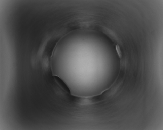 X0000101420335200807071321