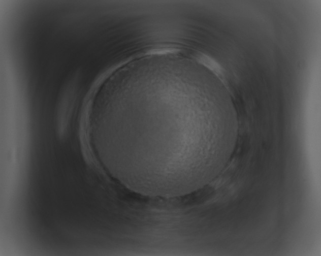 X0000101420337200807071320