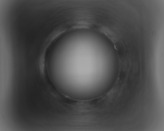 X0000101420338200807071320