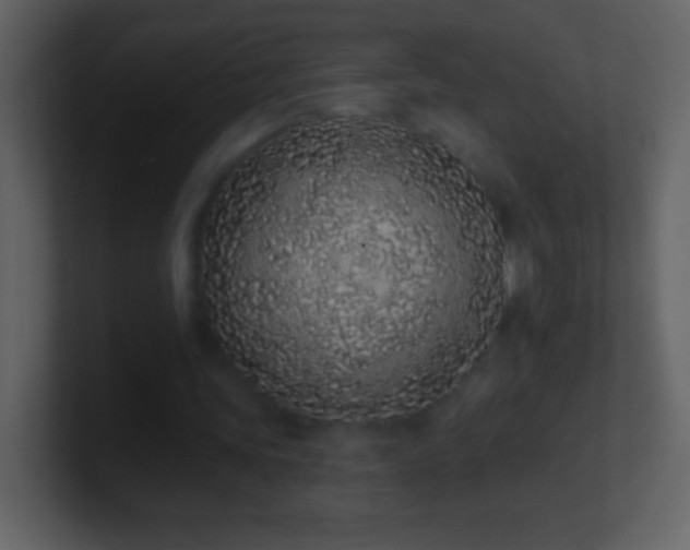 X0000101420339200807071320