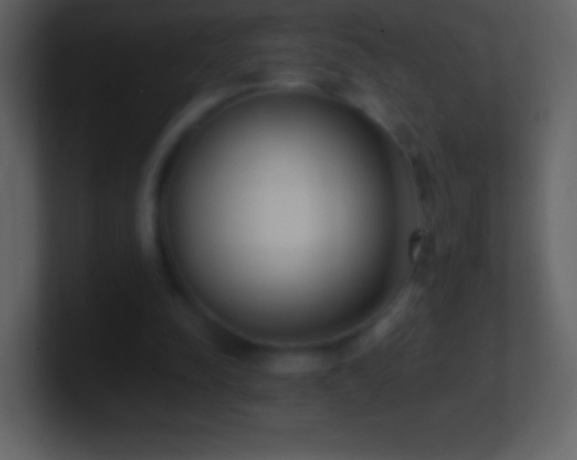 X0000101420342200807071320