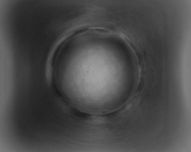 X0000101420343200807071320