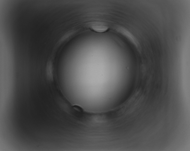 X0000101420345200807071320