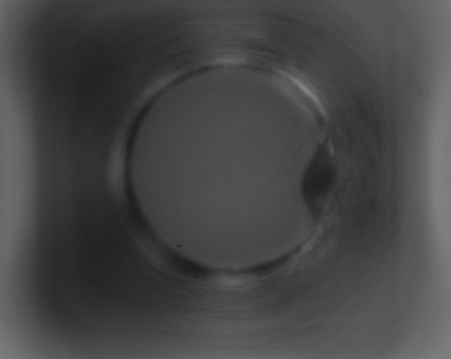 X0000101420346200807071320
