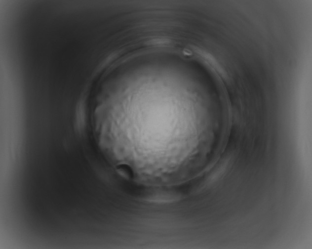 X0000101420347200807071320