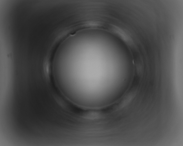 X0000101420350200807071321