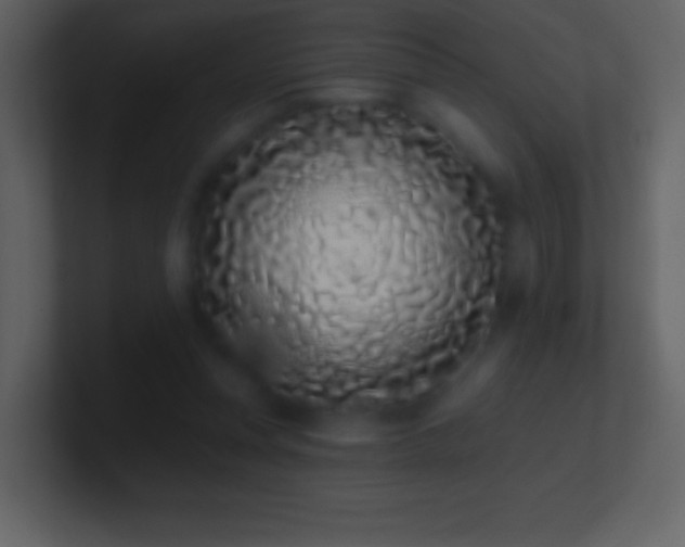 X0000101420351200807071321