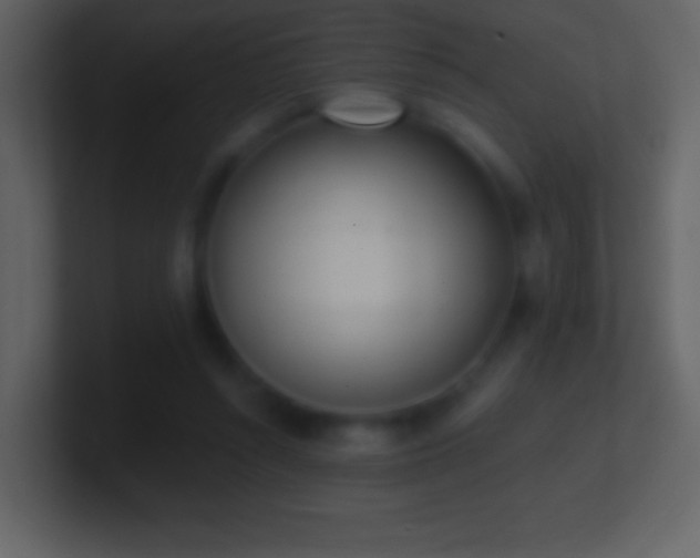 X0000101420352200807071321