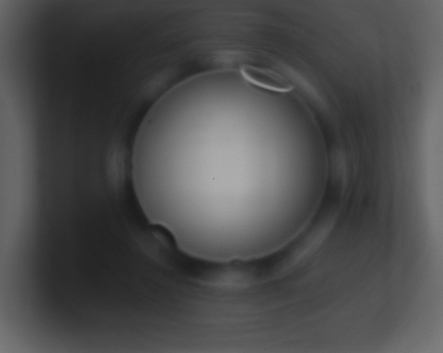 X0000101420356200807071321