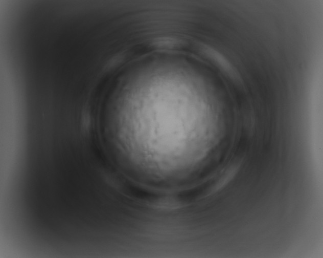 X0000101420357200807071321