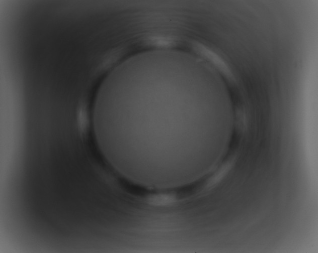 X0000101420358200807071321