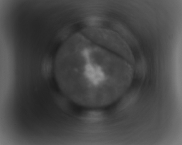 X0000101420360200807071321