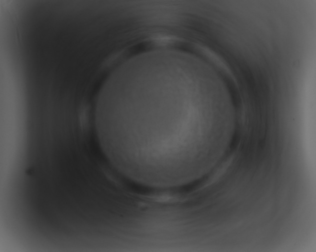 X0000101420361200807071321